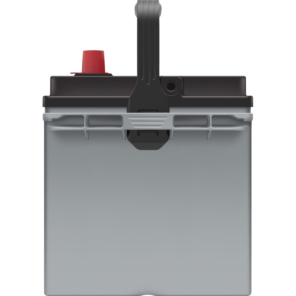 EverStart Platinum AGM Automotive Battery Group 24F