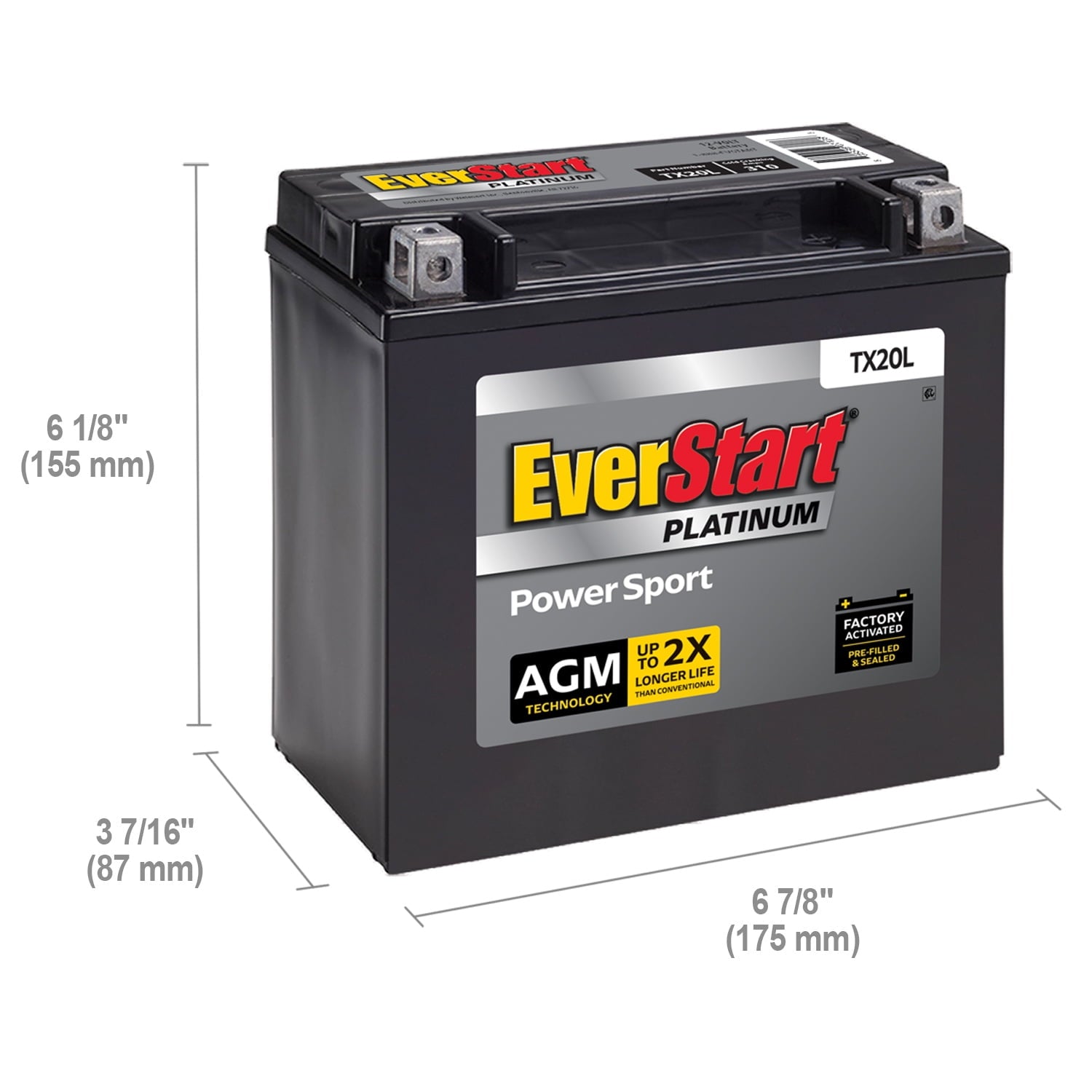 EverStart Platinum BOXED AGM Power Sport Battery, Group Size TX20L 12 Volt, 310 CCA
