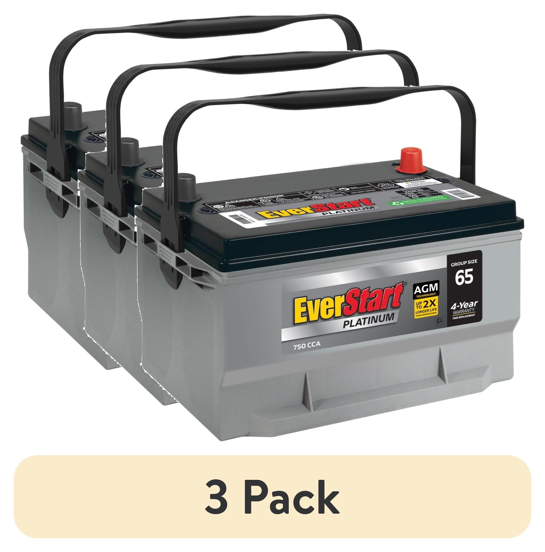 EverStart Platinum AGM Battery, Group Size 65