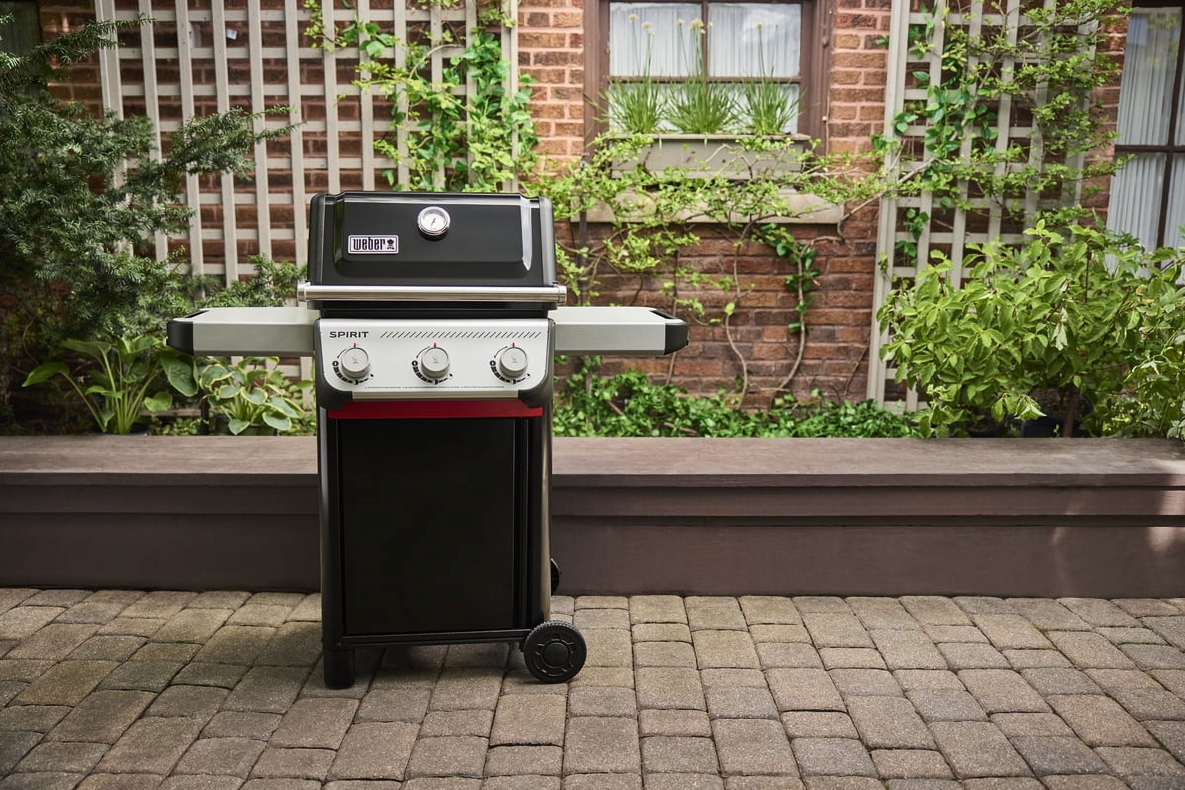 Weber Spirit Gas Grill, E-210 2 Burner Propane Gas Grill with Wheels, Black