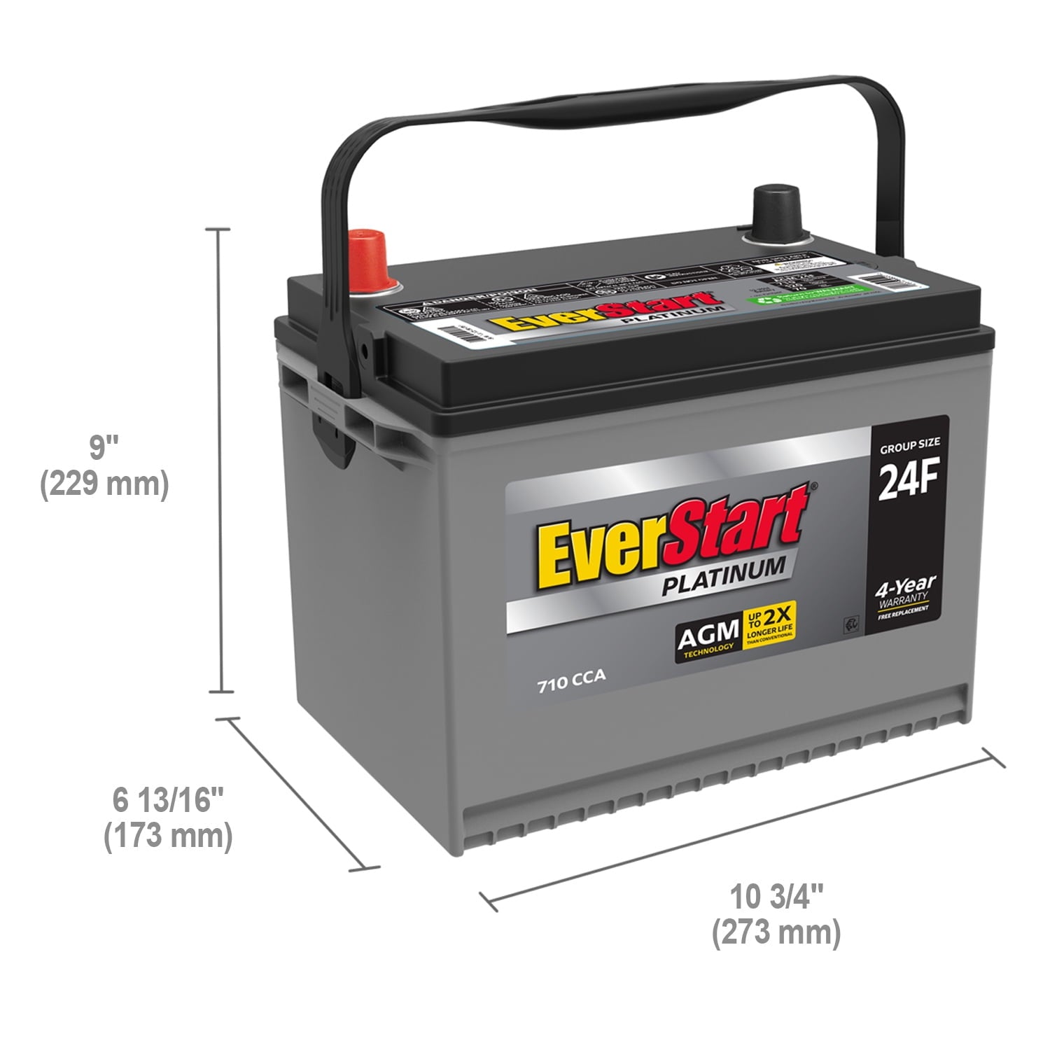 EverStart Platinum AGM Automotive Battery Group 24F