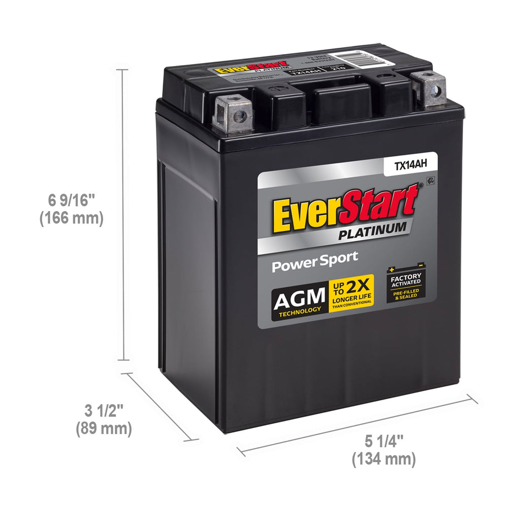 EverStart Platinum AGM PowerSport Battery, Group Size TX14AH 12 Volt, 220 CCA