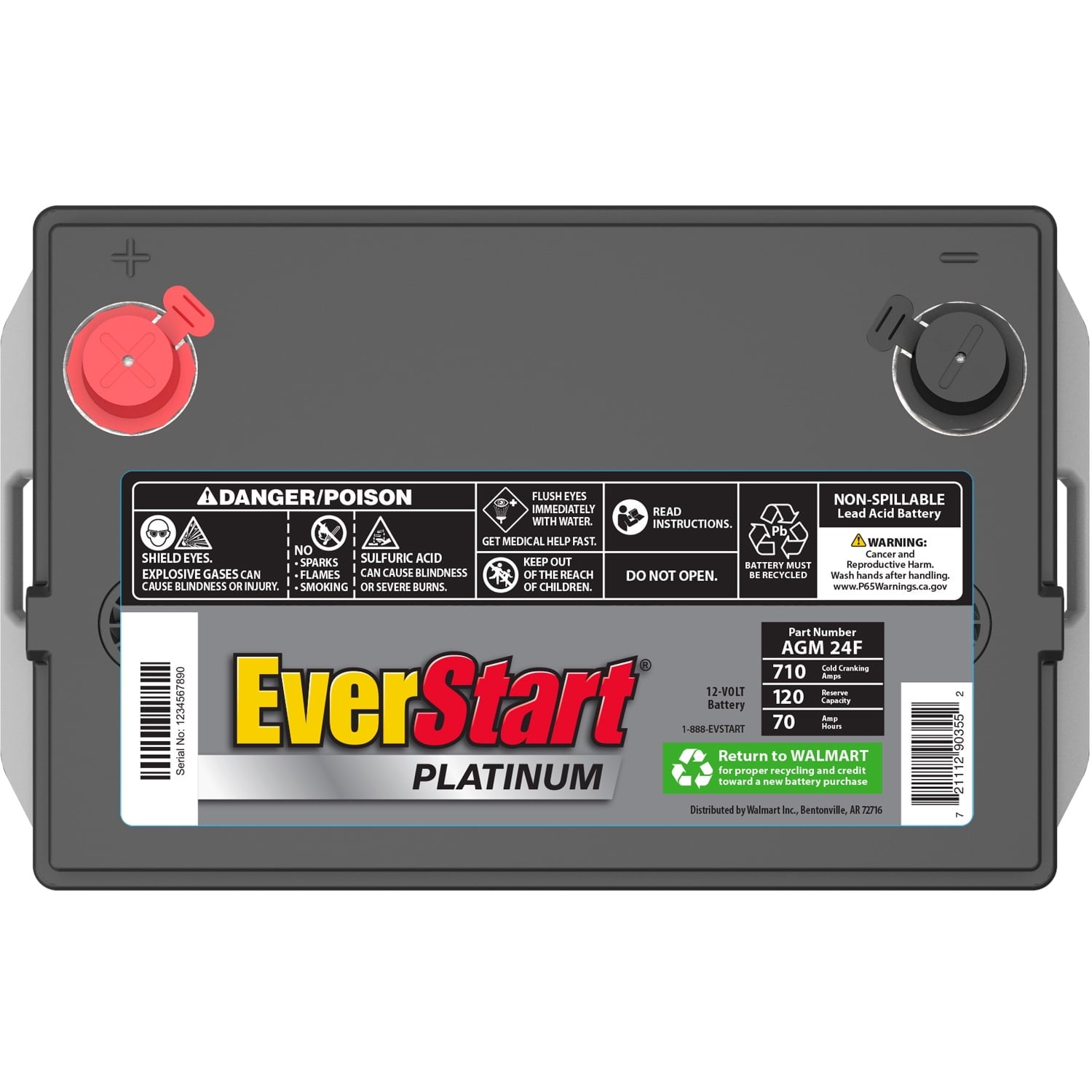 EverStart Platinum AGM Automotive Battery Group 24F
